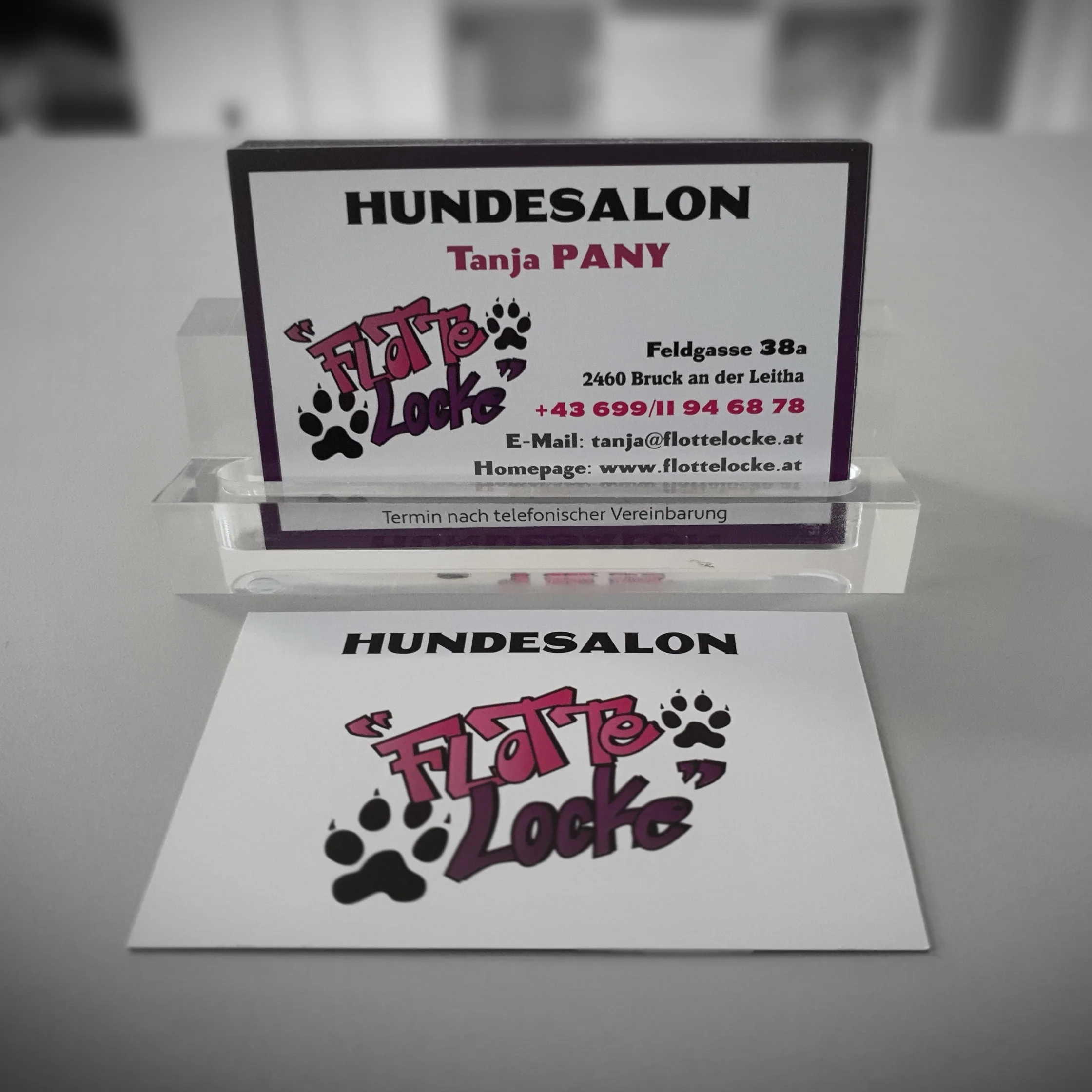 Unser moderner Hundesalon